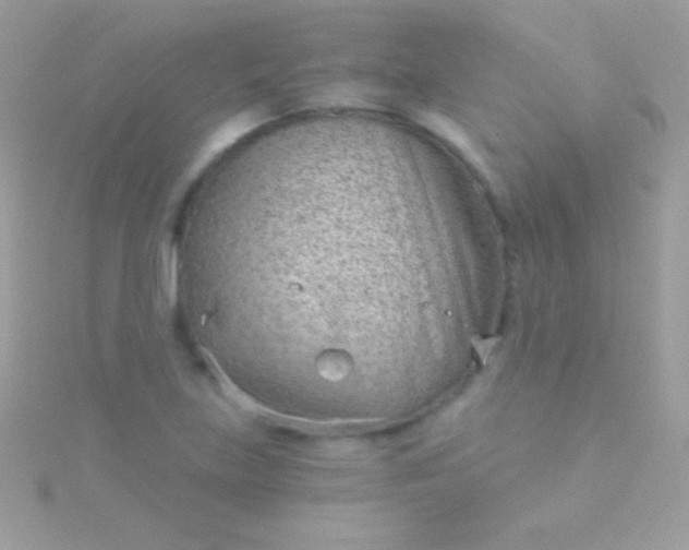 X0000115731219200911251931