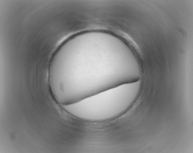 X0000115731220200911251931