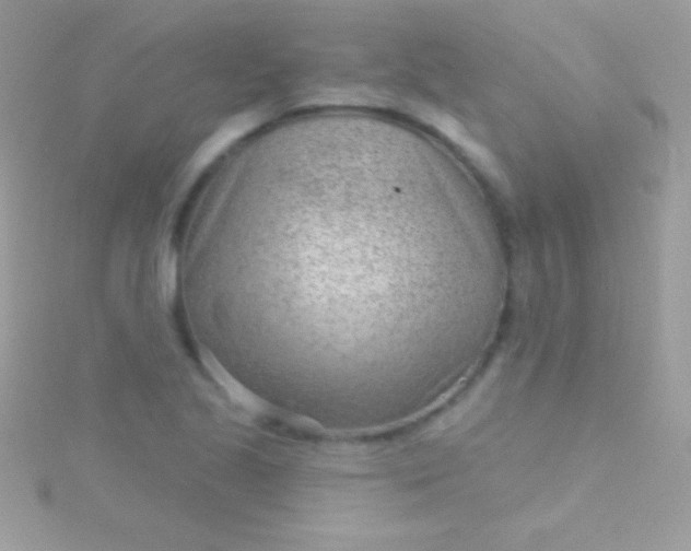 X0000115731221200911251931