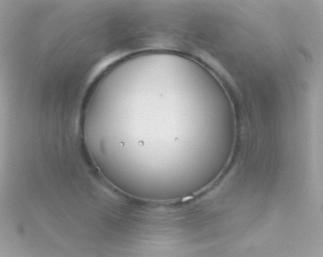 X0000115731222200911251931