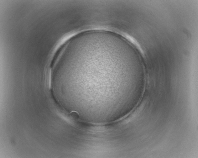 X0000115731223200911251931