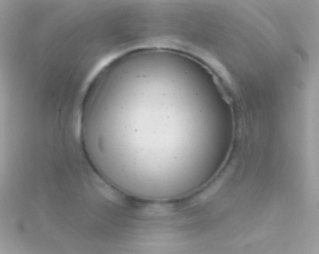 X0000115731224200911251931