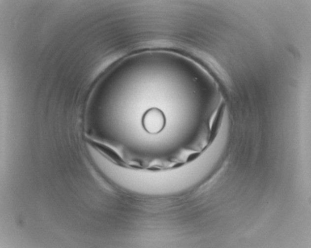 X0000115731225200911251931