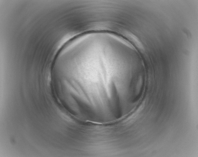 X0000115731226200911251931