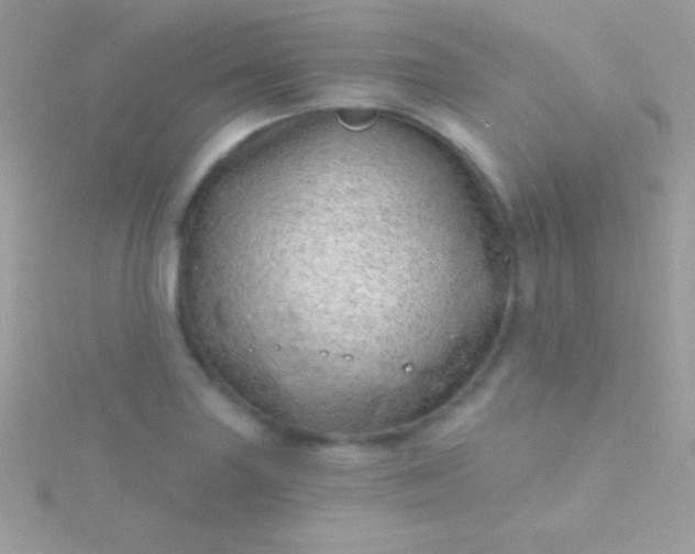 X0000115731227200911251931