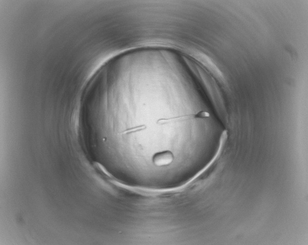 X0000115731228200911251931