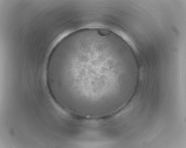 X0000115731229200911251931