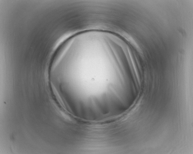 X0000115731230200911251931