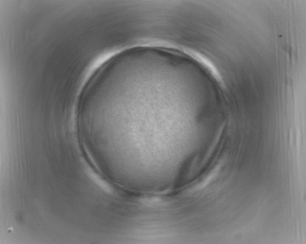 X0000115731231200911251931