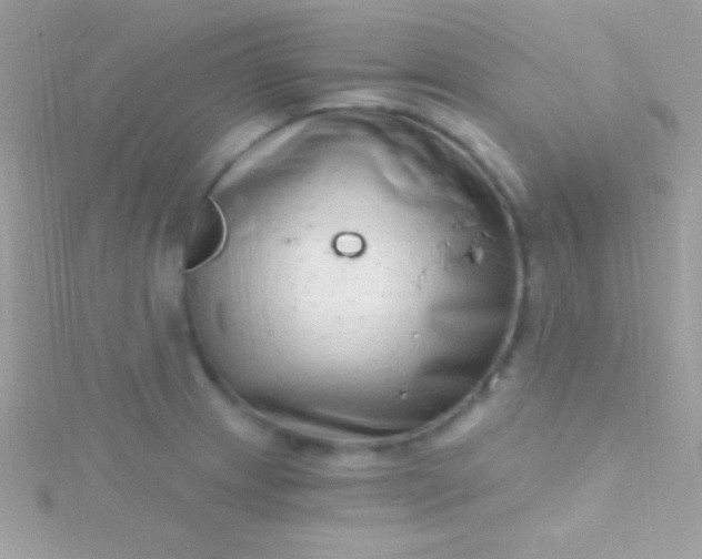 X0000115731233200911251931