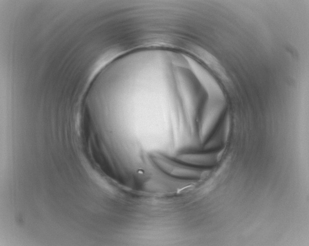 X0000115731234200911251931