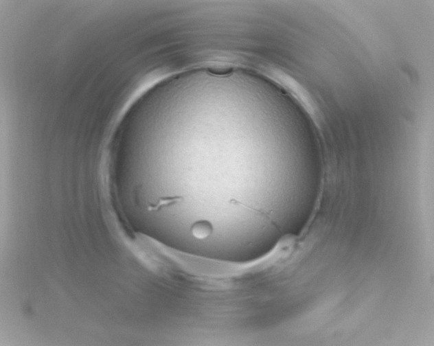 X0000115731235200911251931