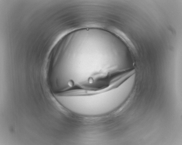 X0000115731236200911251931