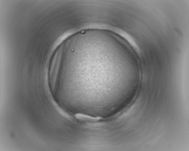 X0000115731237200911251931