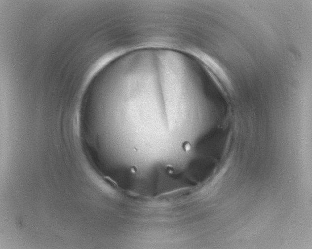 X0000115731238200911251931