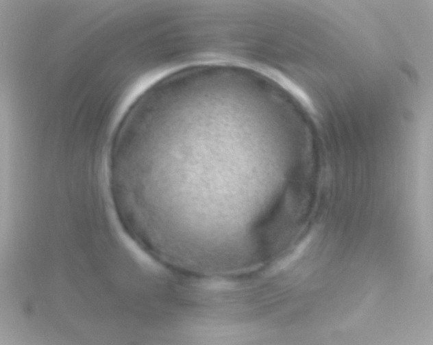 X0000115731239200911251931