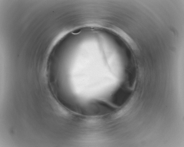 X0000115731240200911251931