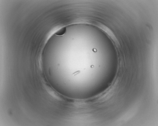 X0000115731242200911251931