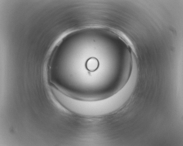 X0000115731243200911251931