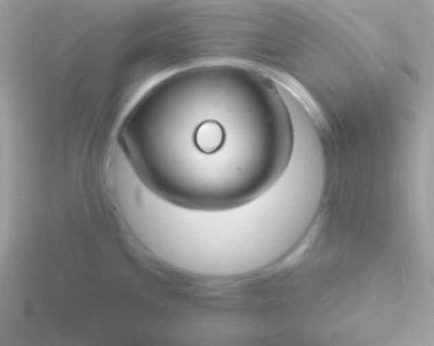 X0000115731244200911251931