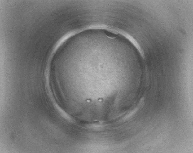 X0000115731245200911251931