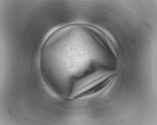 X0000115731246200911251931