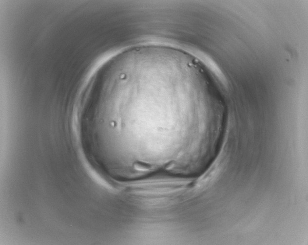 X0000115731247200911251931