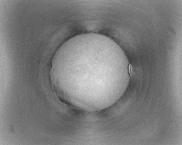 X0000115731249200911251931