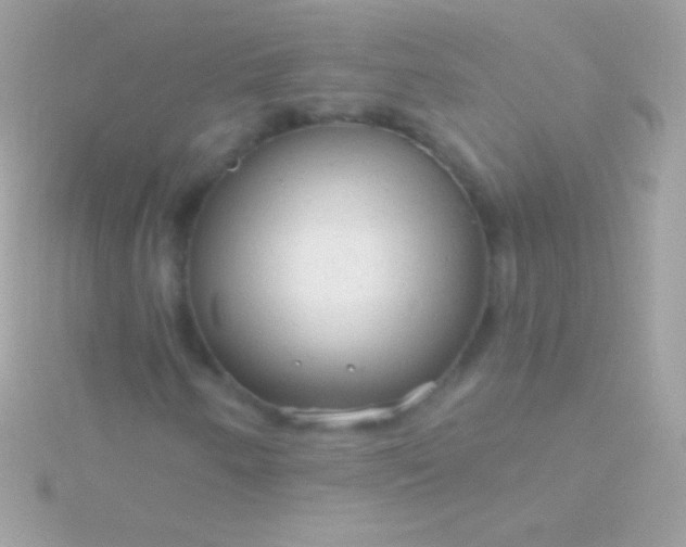 X0000115731250200911251931