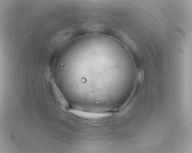 X0000115731251200911251931