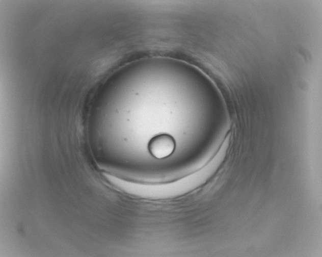 X0000115731252200911251931