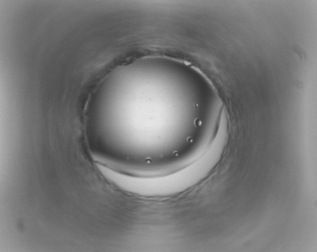 X0000115731253200911251931