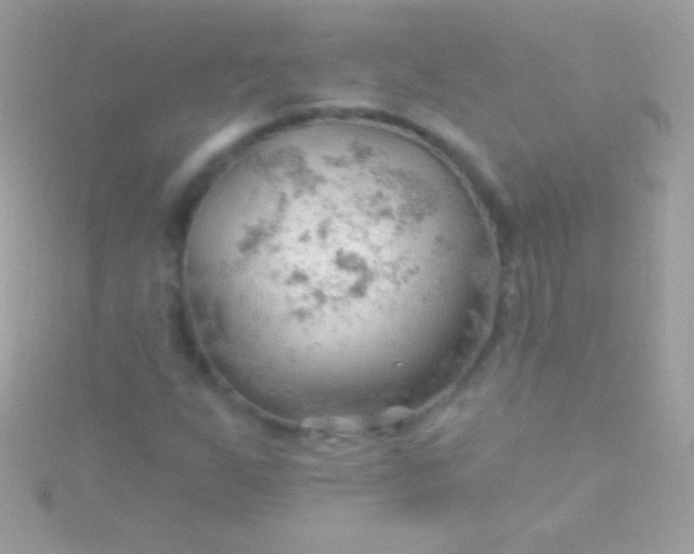 X0000115731255200911251931