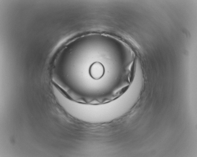 X0000115731256200911251931