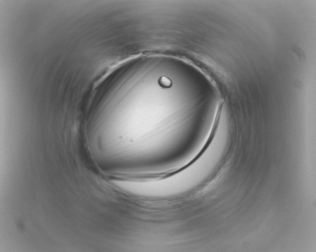 X0000115731257200911251931