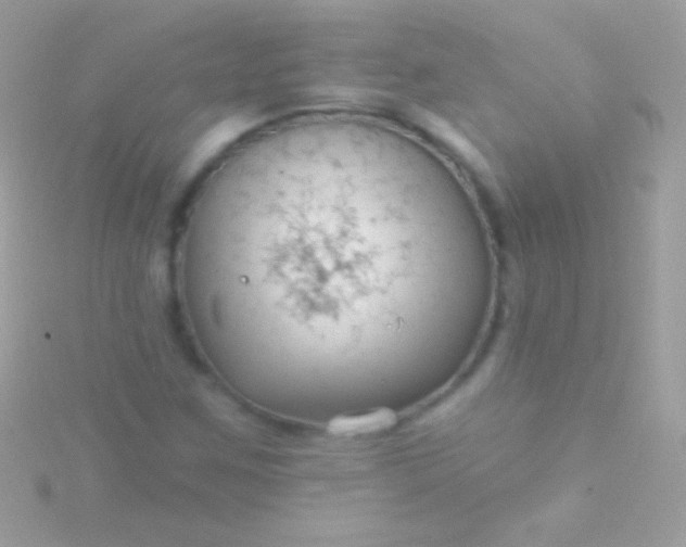 X0000115731259200911251931