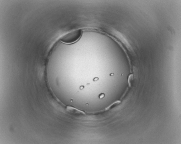 X0000115731260200911251931