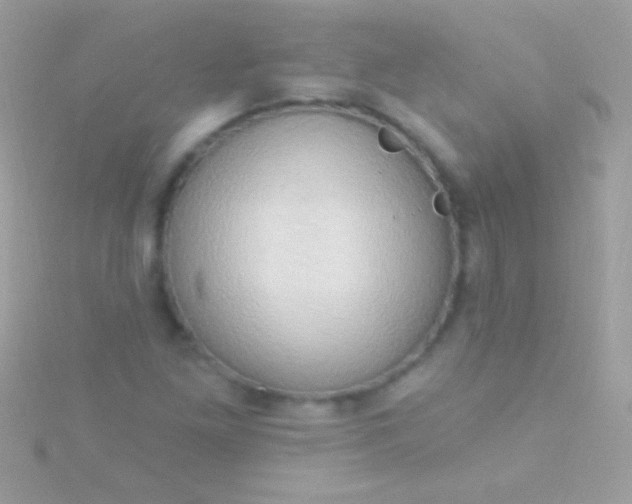 X0000115731261200911251931