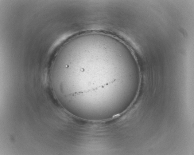 X0000115731262200911251931