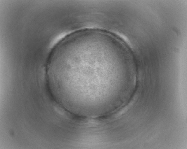 X0000115731263200911251931