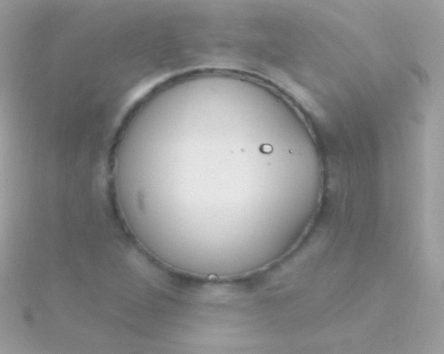 X0000115731264200911251931