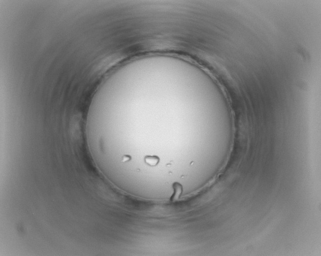 X0000115731265200911251931