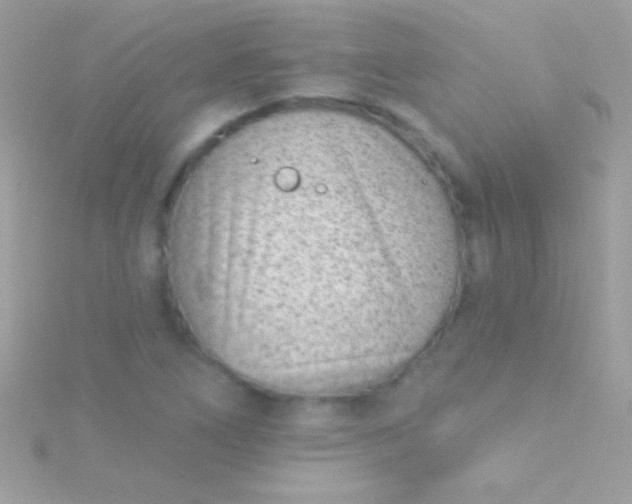 X0000115731266200911251931