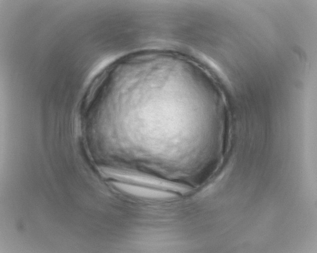 X0000115731267200911251930