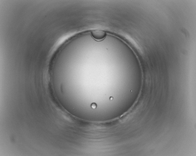 X0000115731270200911251930