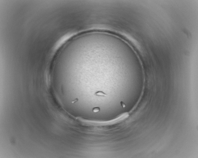 X0000115731271200911251930