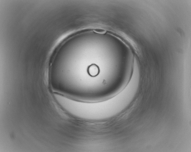 X0000115731272200911251930