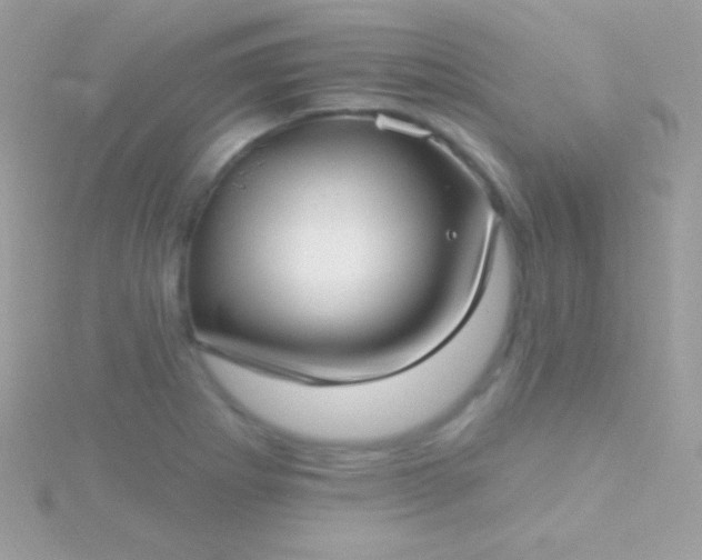 X0000115731273200911251930