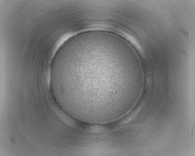 X0000115731275200911251930