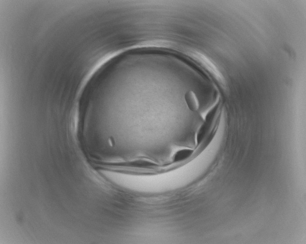 X0000115731276200911251930